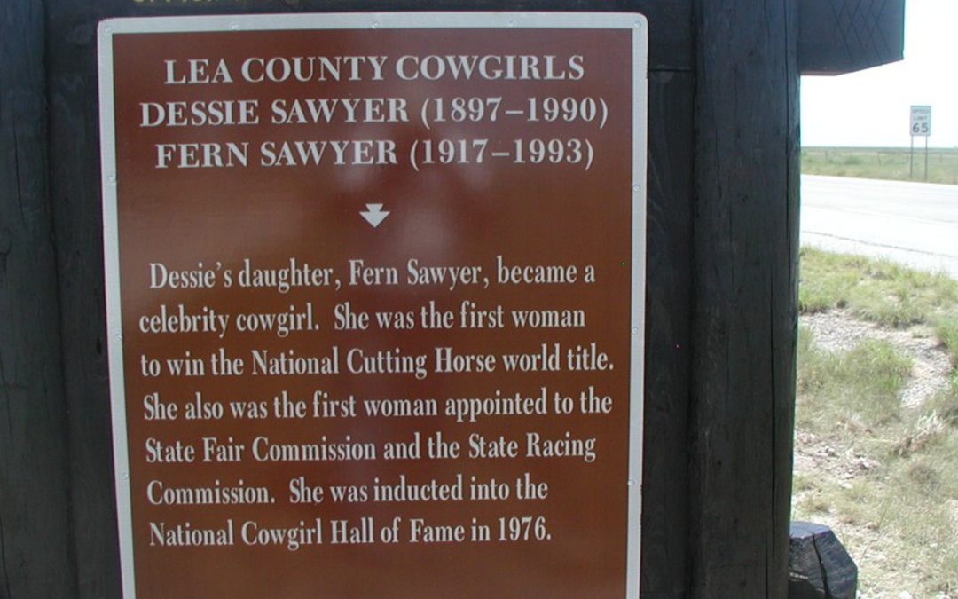 Lea County Cowgirls